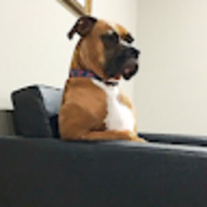 Meet your Posher, Claire